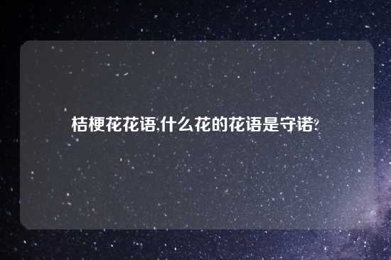 桔梗花花语,什么花的花语是守诺?