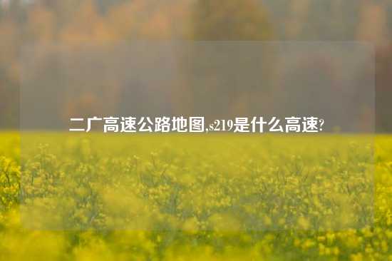 二广高速公路地图,s219是什么高速?