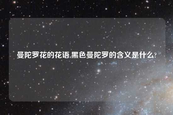 曼陀罗花的花语,黑色曼陀罗的含义是什么?