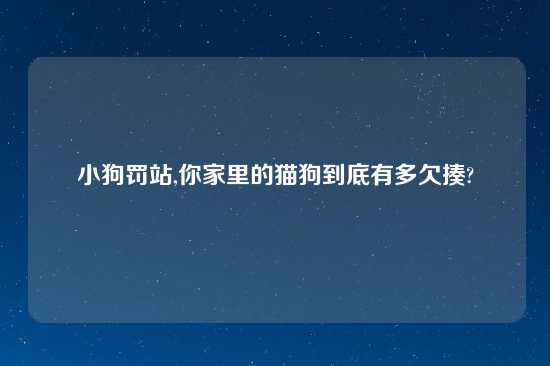 小狗罚站,你家里的猫狗到底有多欠揍?