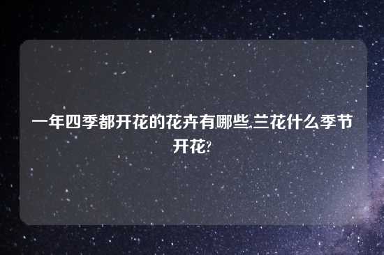 一年四季都开花的花卉有哪些,兰花什么季节开花?