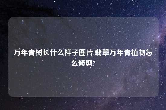 万年青树长什么样子图片,翡翠万年青植物怎么修剪?