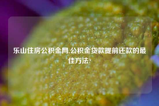 乐山住房公积金网,公积金贷款提前还款的最佳方法?