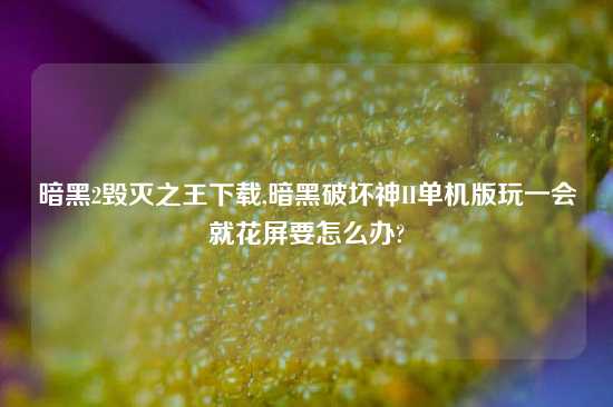暗黑2毁灭之王怎么玩,暗黑破坏神II单机版玩一会就花屏要怎么办?