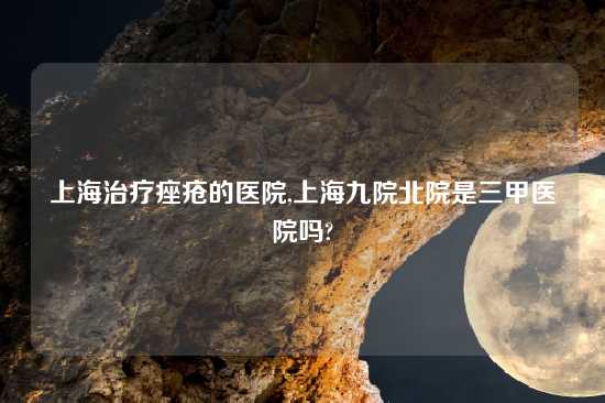 上海治疗痤疮的医院,上海九院北院是三甲医院吗?