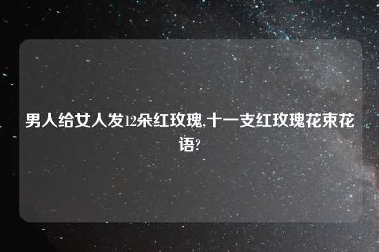 男人给女人发12朵红玫瑰,十一支红玫瑰花束花语?