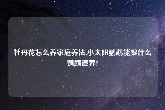 牡丹花怎么养家庭养法,小太阳鹦鹉能跟什么鹦鹉混养?