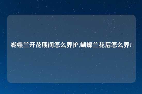蝴蝶兰开花期间怎么养护,蝴蝶兰花后怎么养?