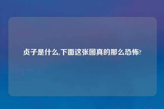 贞子是什么,下面这张图真的那么恐怖?