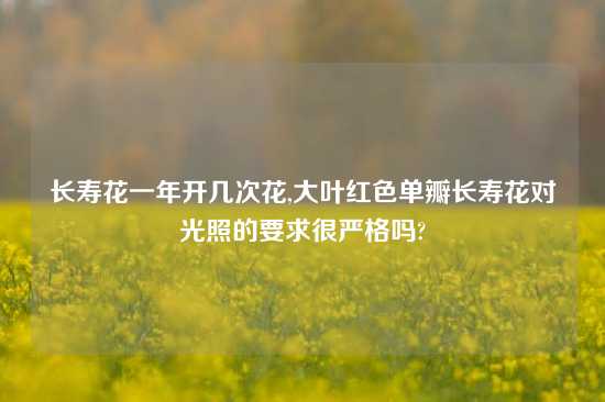 长寿花一年开几次花,大叶红色单瓣长寿花对光照的要求很严格吗?