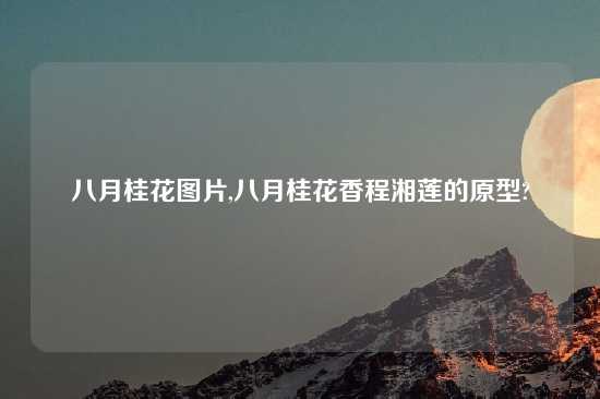 八月桂花图片,八月桂花香程湘莲的原型?