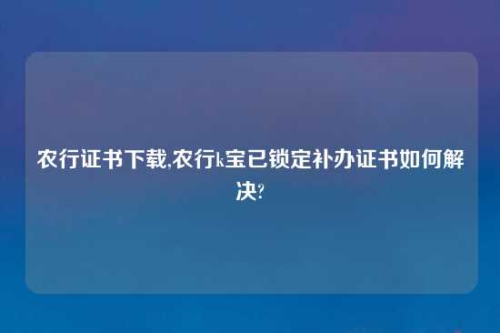 农行证书怎么玩,农行k宝已锁定补办证书如何解决?