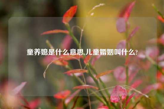 童养媳是什么意思,儿童婚姻叫什么?