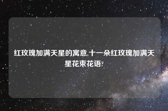 红玫瑰加满天星的寓意,十一朵红玫瑰加满天星花束花语?