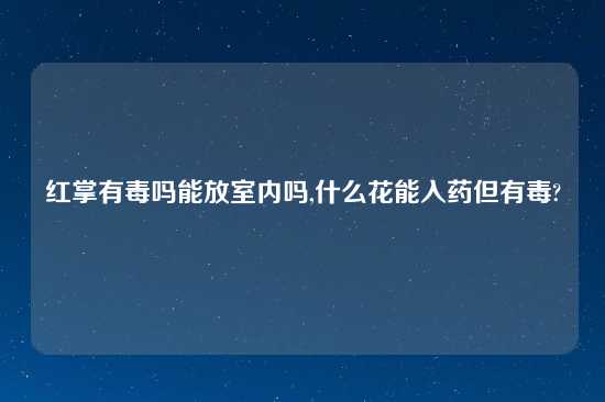 红掌有毒吗能放室内吗,什么花能入药但有毒?