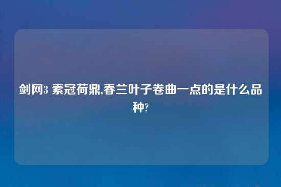 剑网3 素冠荷鼎,春兰叶子卷曲一点的是什么品种?