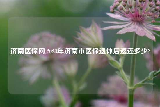 济南医保网,2023年济南市医保退休后返还多少?