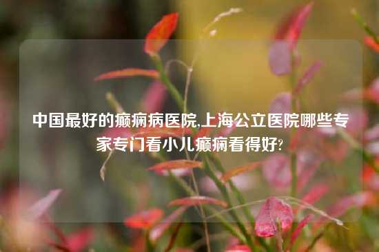 中国最好的癫痫病医院,上海公立医院哪些专家专门看小儿癫痫看得好?
