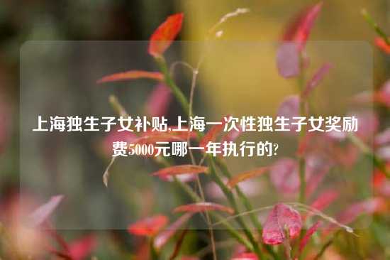 上海独生子女补贴,上海一次性独生子女奖励费5000元哪一年执行的?