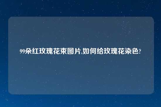 99朵红玫瑰花束图片,如何给玫瑰花染色?