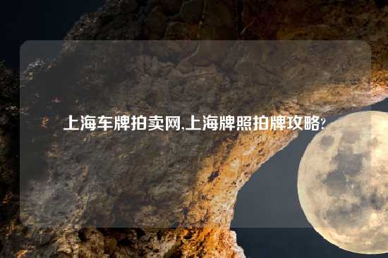 上海车牌拍卖网,上海牌照拍牌攻略?