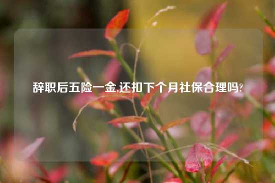 辞职后五险一金,还扣下个月社保合理吗?