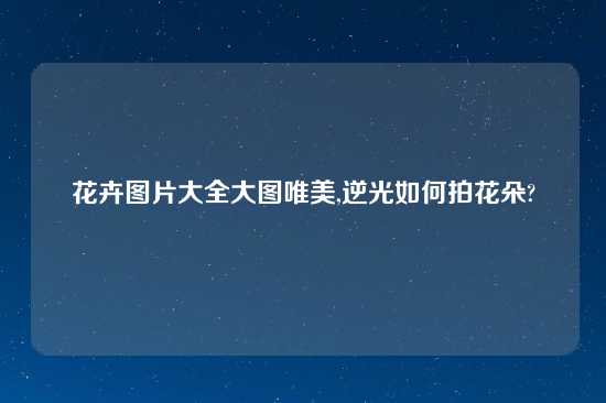 花卉图片大全大图唯美,逆光如何拍花朵?