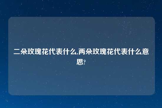 二朵玫瑰花代表什么,两朵玫瑰花代表什么意思?