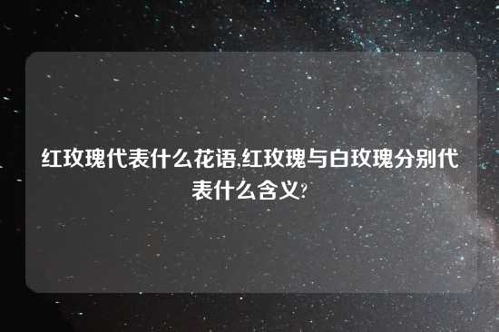 红玫瑰代表什么花语,红玫瑰与白玫瑰分别代表什么含义?