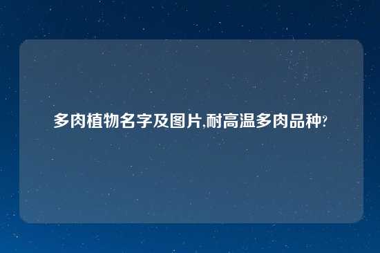 多肉植物名字及图片,耐高温多肉品种?