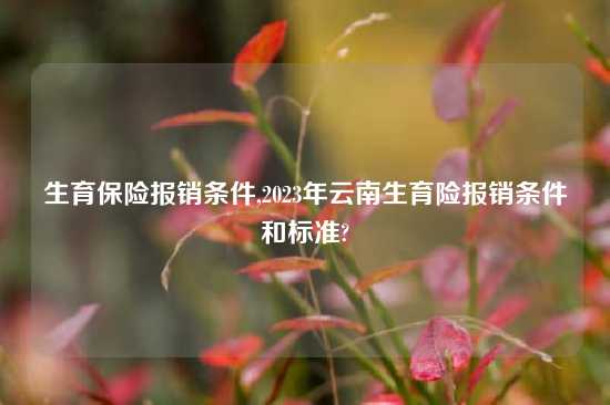 生育保险报销条件,2023年云南生育险报销条件和标准?