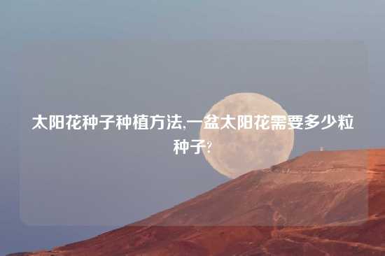 太阳花种子种植方法,一盆太阳花需要多少粒种子?