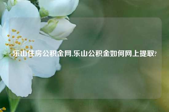 乐山住房公积金网,乐山公积金如何网上提取?