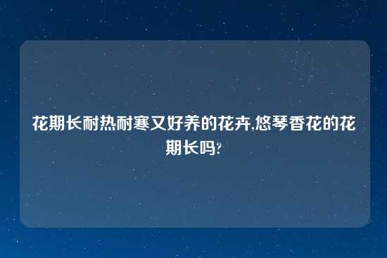 花期长耐热耐寒又好养的花卉,悠琴香花的花期长吗?