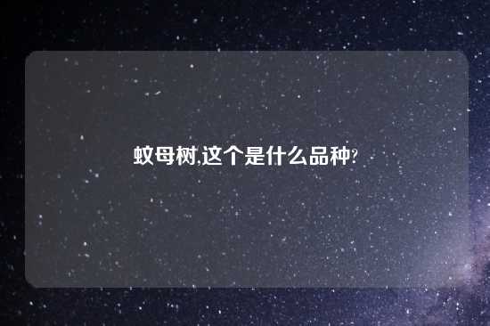 蚊母树,这个是什么品种?