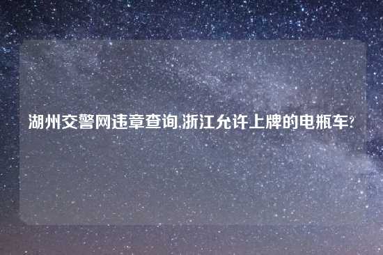 湖州交警网违章查询,浙江允许上牌的电瓶车?