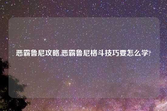 恶霸鲁尼攻略,恶霸鲁尼格斗技巧要怎么学?