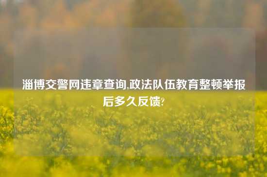 淄博交警网违章查询,政法队伍教育整顿举报后多久反馈?