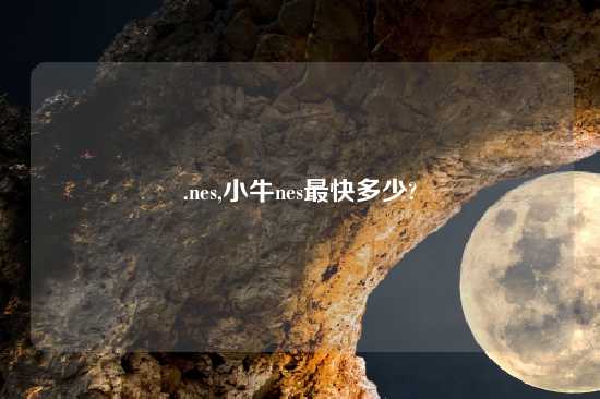 .nes,小牛nes最快多少?