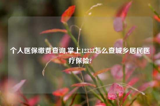 个人医保缴费查询,掌上12333怎么查城乡居民医疗保险?