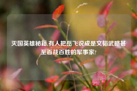 灭国英雄秘籍,有人把岳飞说成是文韬武略甚至百战百胜的军事家?