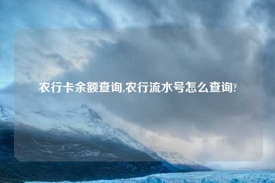 农行卡余额查询,农行流水号怎么查询?