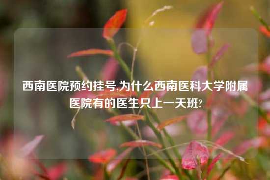 西南医院预约挂号,为什么西南医科大学附属医院有的医生只上一天班?