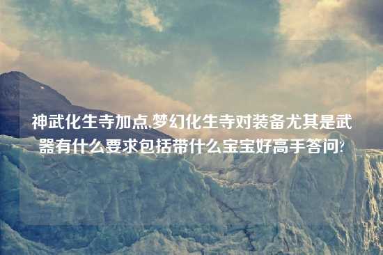 神武化生寺加点,梦幻化生寺对装备尤其是武器有什么要求包括带什么宝宝好高手答问?