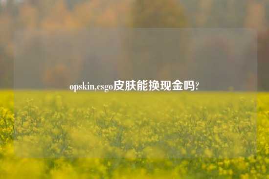 opskin,csgo皮肤能换现金吗?