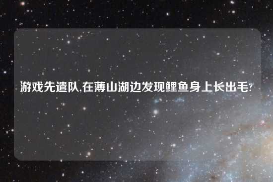 游戏先遣队,在薄山湖边发现鲤鱼身上长出毛?