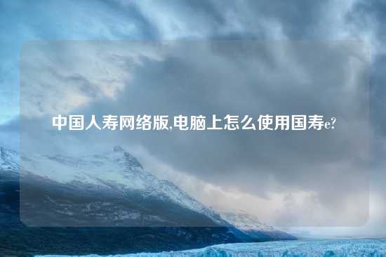 中国人寿网络版,电脑上怎么使用国寿e?