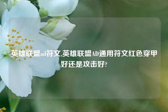 英雄联盟ad符文,英雄联盟AD通用符文红色穿甲好还是攻击好?