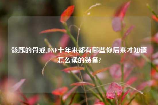 骸麒的骨戒,DNF十年来都有哪些你后来才知道怎么读的装备?