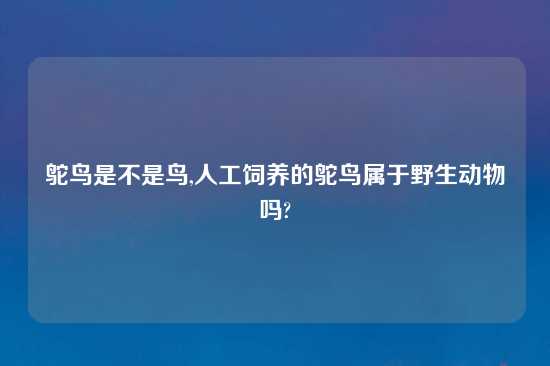 鸵鸟是不是鸟,人工饲养的鸵鸟属于野生动物吗?